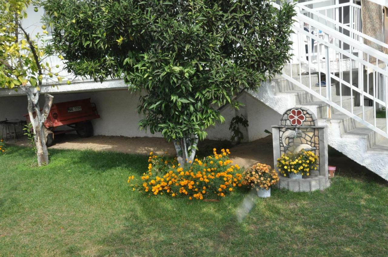 Despina Apartment Keramotí Zewnętrze zdjęcie